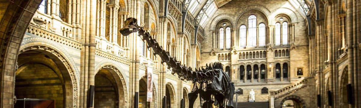 Spaces and Places of ScienceHumanities