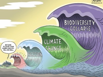 ‘Build Back Better’: Narratives of Covid and&nbsp;Climate